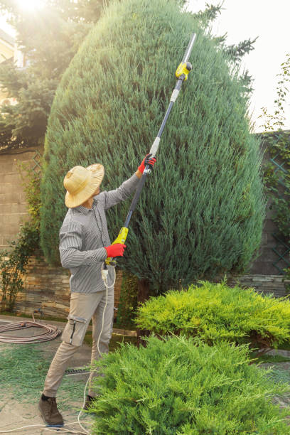 Lake City, GA Tree Removal and Landscaping Services Company